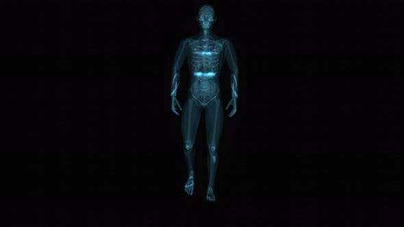 4K Anatomy concept of a Xray man walking