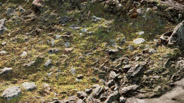 Close Up of Rocky Stones Formation alt