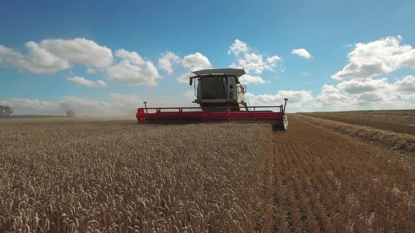 Harvester in field