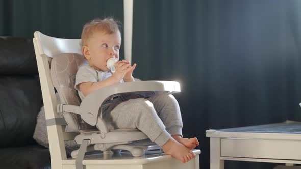 Cute Kid with Food Nibbler Baby Fruit Pacifier Sitting in Booster Seat Fixed on Top of Dining Chair