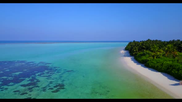 Aerial above texture of tropical coastline beach wildlife by blue green water and white sandy backgr