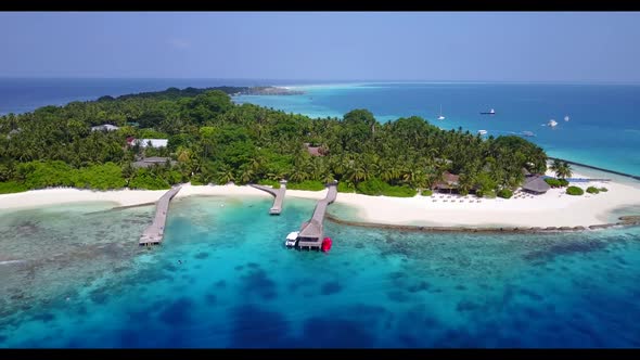 Aerial above landscape of relaxing shore beach wildlife by aqua blue ocean and white sandy backgroun