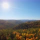 Aerial View of Colorful Autumn Trees - VideoHive Item for Sale