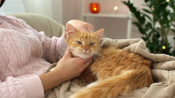 Woman Stroking Red Tabby Cat in Bed at Home