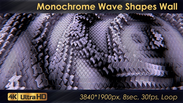 Monochrome Wave Shapes Wall