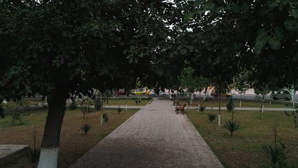 Park Near Ark of Bukhara Fortress