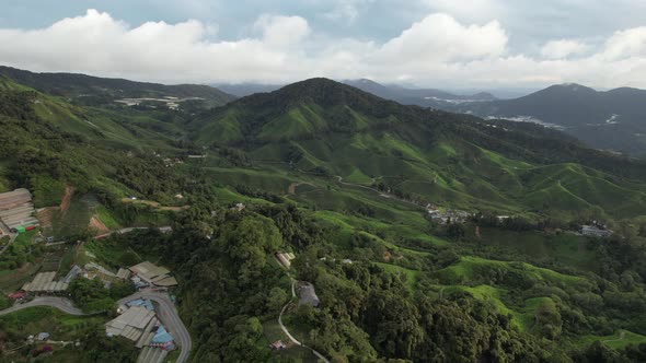 Cameron Highlands, Pahang Malaysia