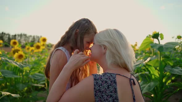 Mother and daughter hug on sunflowers field at sunset evening. Females girls have fun outdoors