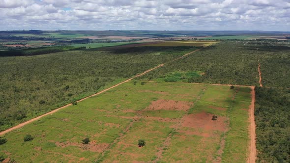 An aerial view of the Brazilian cerrado or savannah with sections of land deforested for soybean far