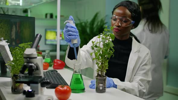 African Botanist Researcher Taking Genetic Solution From Test Tube