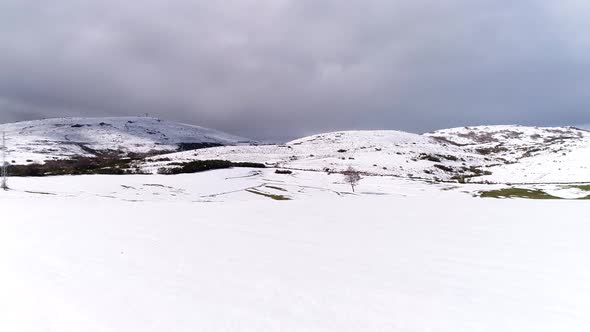 Winter Snow Mountain with Tree