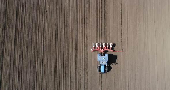 Top down view of tractor sowing in agriculture area