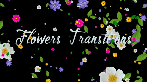 Flowers Transitions 4K alt