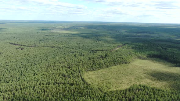 Flight Over the Taiga