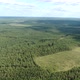 Flight Over the Taiga - VideoHive Item for Sale