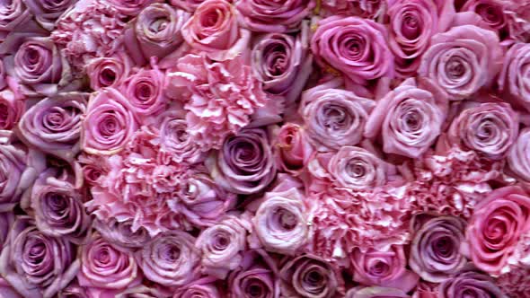 Natural Roses Background