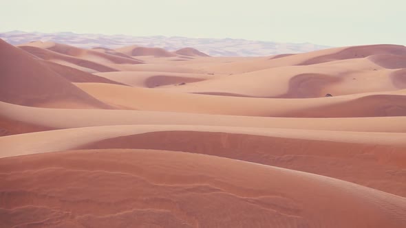 Horizonless Sand Dunes in Wahiba Sands Desert, Oman. Pan Shot