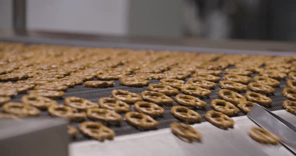 Snacks production Closeup conveyor, baked pretzel snacks