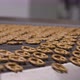 Snacks production Closeup conveyor, baked pretzel snacks - VideoHive Item for Sale
