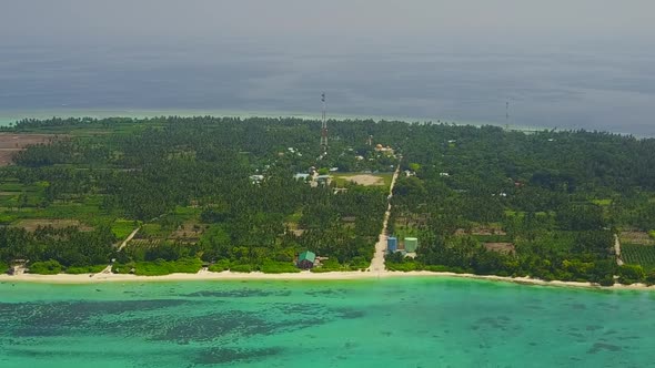 Aerial texture of lagoon beach wildlife by blue water and sand background