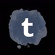 Tumblr Social Media Icon - VideoHive Item for Sale