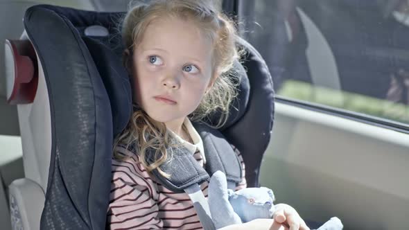 Lovely Girl Riding in Backseat with Bear Toy