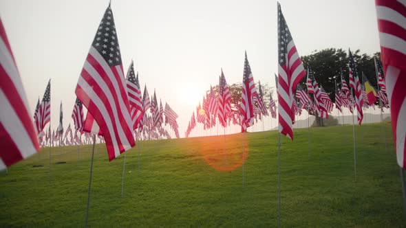 Many American Flags Fluttering in the Wind on Flag Poles Against Cloudy Sky