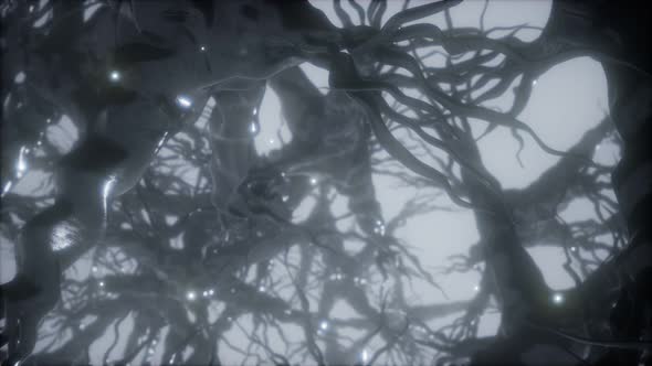 Journey Through a Neuron Cell Network Inside the Brain alt