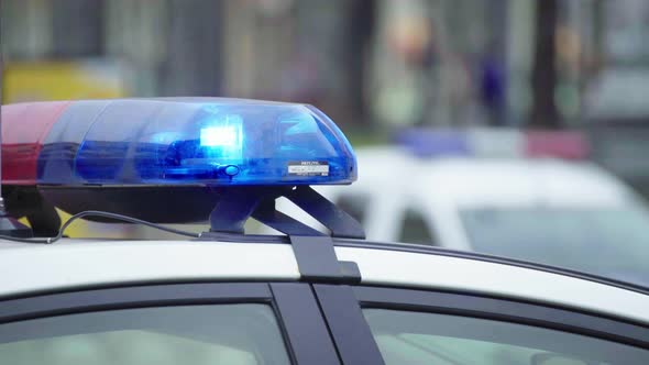 Flashing Flasher on the Roof of a Police Car. Blinker. Close-up.