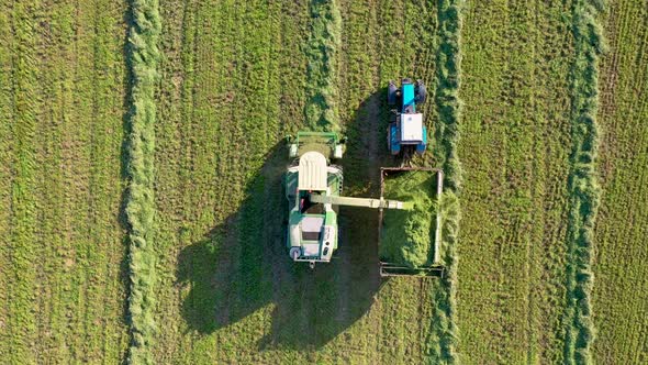 Harvester Collects Mown Grass And Pours It Into Tractor Trailer Aerial Top View