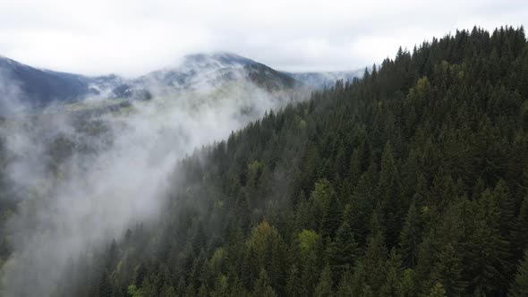 Fog in the Mountains. Slow Motion. Carpathians. Ukraine. Aerial.