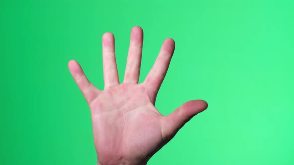 Man Shakes Hands on a Green Screen
