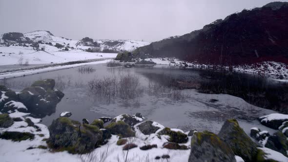 Snowing in the Wetlands