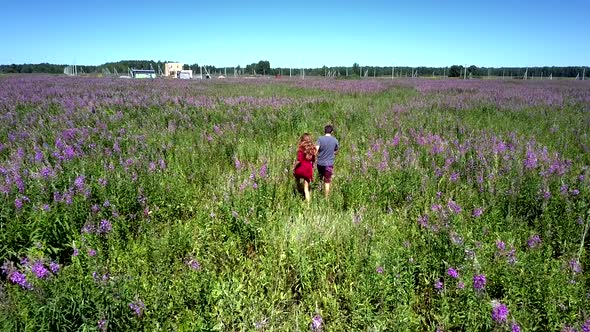 Beautiful Lady and Young Man Move Across Wide Violet Field