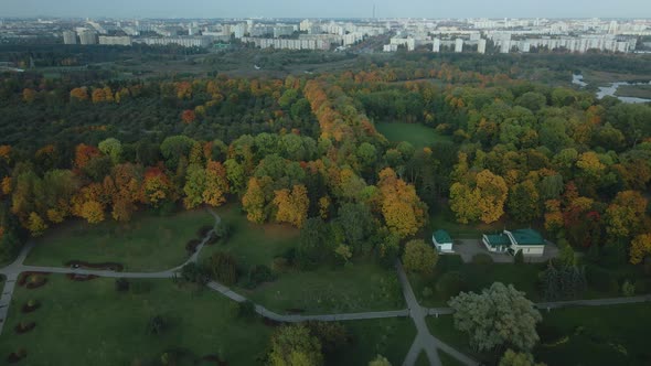 Flight over the autumn park. Trees with yellow autumn leaves are visible. Aerial photography.