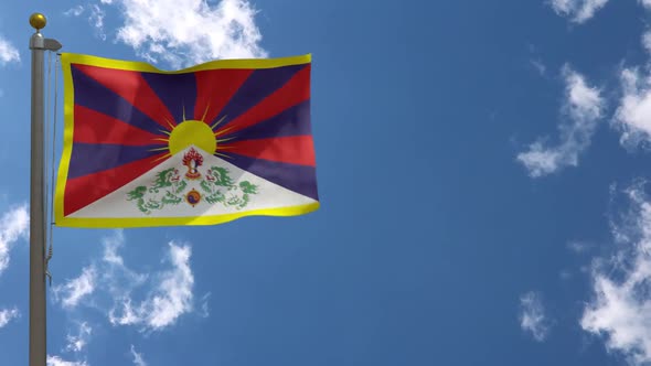 Tibet Flag On Flagpole