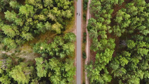 AERIAL: Fast Driving of Two Friend Cyclists Through the Green Forest in the Middle of the Day
