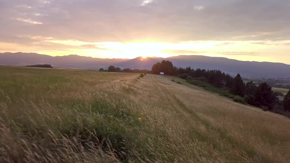 Sunset Golden Meadow Landscape