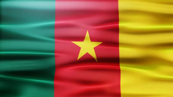 Cameroon Flag Waving