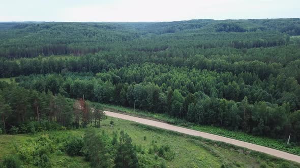 Trees in Forest Aerial