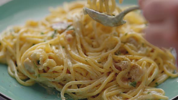 Fresh Spaghetti Carbonara on Plate