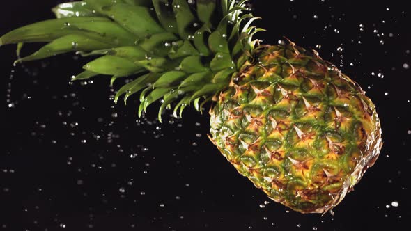Flying of Pineapple in Black Background in Slow Motion