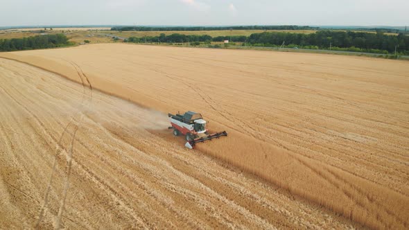 Aerial View Red Harvester Working in the Field