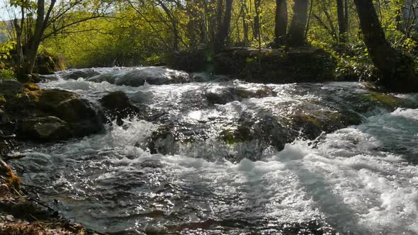 The Streams of Plitvice Lakes National Park in Croatia on a Bright Sunny Day