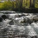 The Streams of Plitvice Lakes National Park in Croatia on a Bright Sunny Day - VideoHive Item for Sale