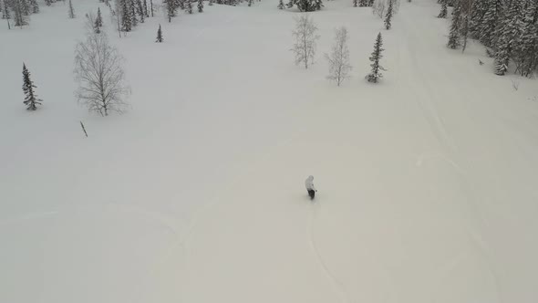 Top View of a Man Riding a Snowboard in a Snowy Forest