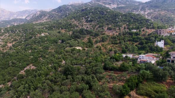 Drone shot of trees in Albania