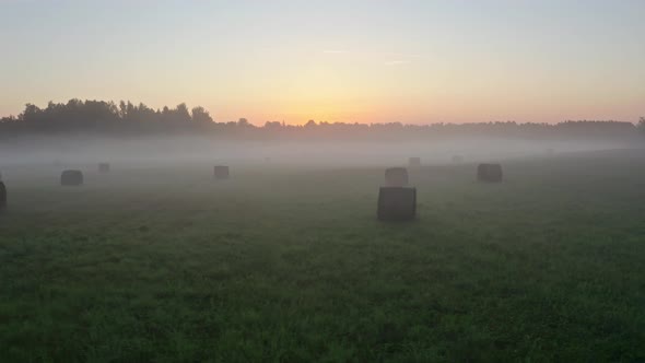 Field at Sunrise