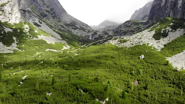 Revealing two Foggy Mountains near Pine Forest in Slovakia High Tatras Region