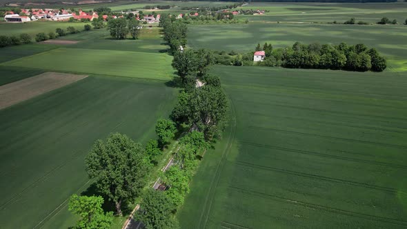 Cars Moving on Road Between Agricultural Fields Aerial View